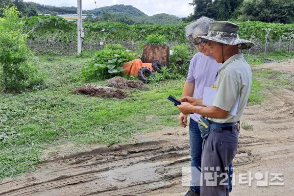 [크기변환]영주-1-1 농업인이 스마트폰으로 농작업 현황을 살펴보고 있다.jpg