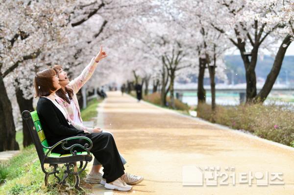 [크기변환]영주-6-1(참고사진)영주벚꽃길을 즐기고 있는 시민들 모습.jpg