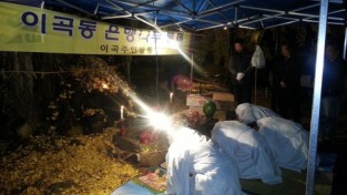 자연유산 민속행사『농소리 은행나무 동제』개최